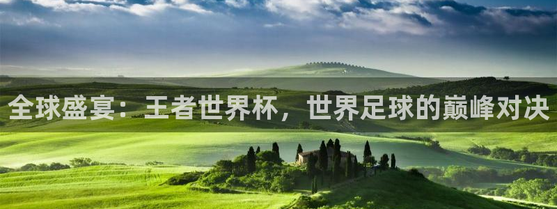 亚洲杯比赛直播：全球盛宴：王者世界杯，世界足球的巅峰对决