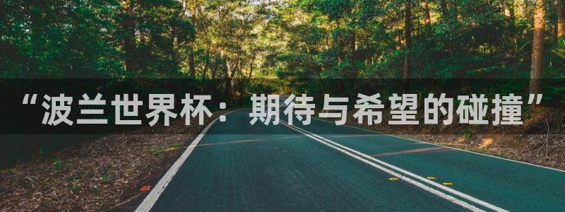 世界杯足球直播：“波兰世界杯：期待与希望的碰撞”
