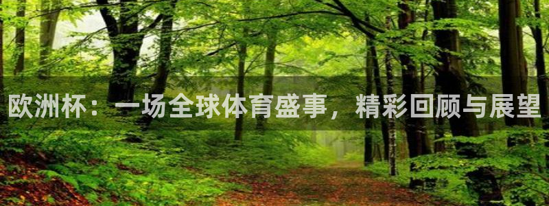 2026世界杯日期：欧洲杯：一场全球体育盛事，精彩回顾与展望