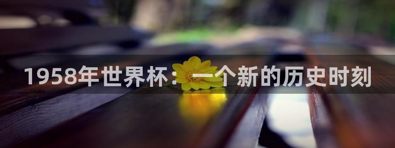足球比分直播世界杯：1958年世界杯：一个新的历史时刻