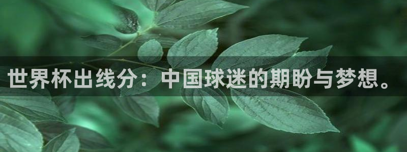 世界杯今年：世界杯出线分：中国球迷的期盼与梦想。