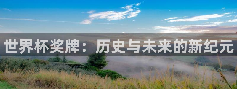 2026世界杯赛程时间表最新：世界杯奖牌：历史与未来的新纪元