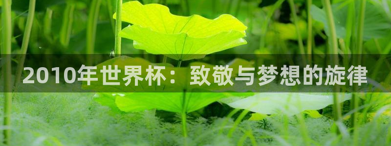 2026世界杯倒计时：2010年世界杯：致敬与梦想的旋律