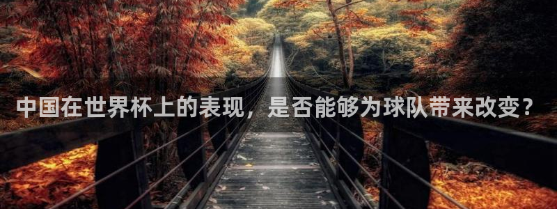 2006年世界杯冠军：中国在世界杯上的表现，是否能够为球队带来改变？