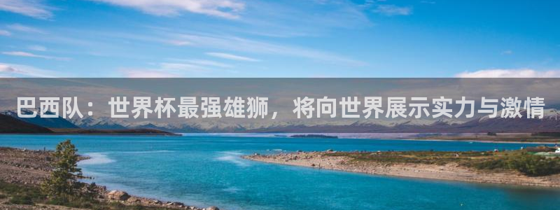 2026年世界杯对阵图：巴西队：世界杯最强雄狮，将向世界展示实力与激情