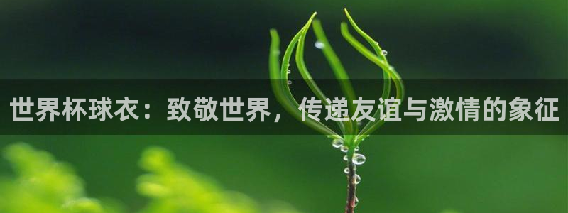 足球世预赛：世界杯球衣：致敬世界，传递友谊与激情的象征